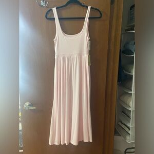 Aritzia Market Midi Dress